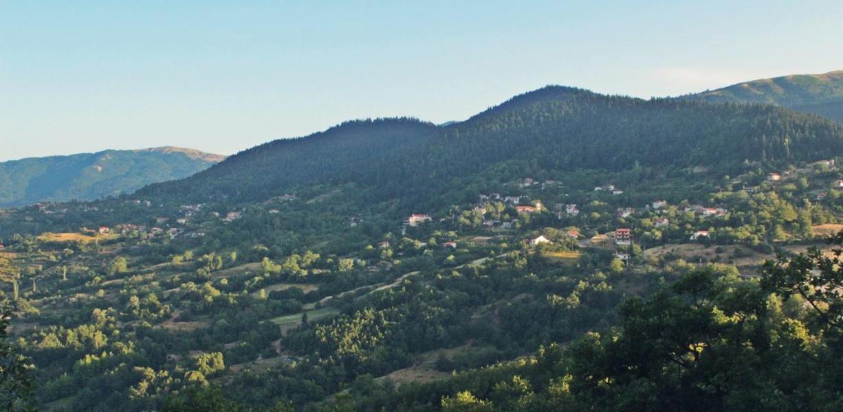 Omilaia Ξενοδοχείο Gardiki Εξωτερικό φωτογραφία
