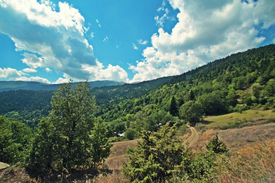 Omilaia Ξενοδοχείο Gardiki Εξωτερικό φωτογραφία